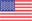 american flag Tyler