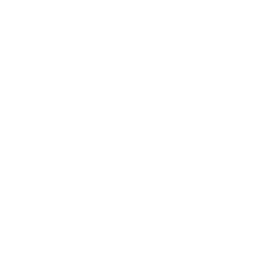 ce logo Tyler